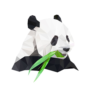 polygon pandas. beeldmerk